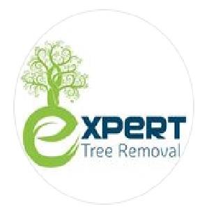 looking for expert tree removal services in rouse hill, australia? our skilled team  specializes in safe and efficient tree removal, ensuring your property stays beautiful and hazard-free. trust us for professional, reliable service. contact us today!  https://experttreeremoval.com.au/
 Expert Tree Removal Rouse Hill Rouse Hill 0490 365 841