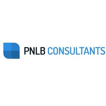 Pnlb Consultants - Southfield, MI 48075 - (734)716-7770 | ShowMeLocal.com