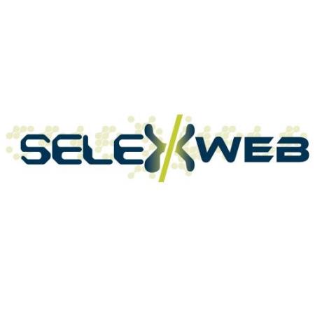 SelexWeb - Edmonton, AB T5J 3S4 - (780)716-8453 | ShowMeLocal.com