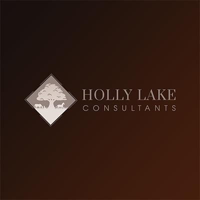 Holly Lake Consultant - Louisville, CO 80027 - (303)381-2872 | ShowMeLocal.com