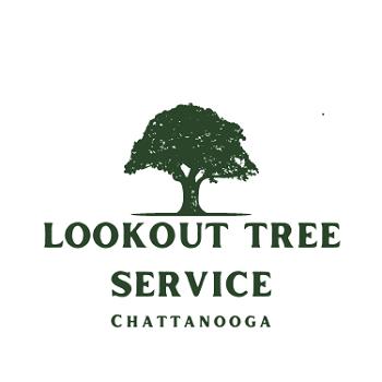 Lookout Tree Service Chattanooga - Chattanooga, TN 37404 - (423)220-4889 | ShowMeLocal.com