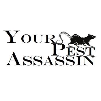 Your Pest Assassin - Chorley, Lancashire PR7 3AX - 07884 457666 | ShowMeLocal.com