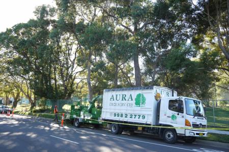 Aura Tree Services - Brookvale, NSW 2100 - (61) 1300 3704 | ShowMeLocal.com
