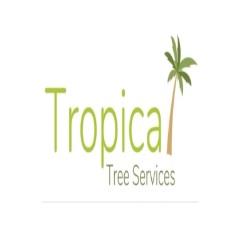 Tropical Tree Services - Livingstone, NT 0822 - 0499 814 666 | ShowMeLocal.com