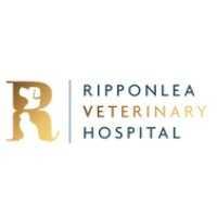Ripponlea Veterinary Hospital - Ripponlea, VIC 3185 - (03) 8488 8889 | ShowMeLocal.com