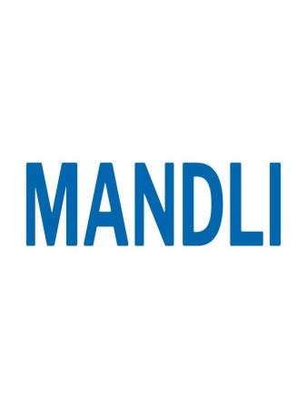 Mandli Technologies Vineyard (61) 2720 1842
