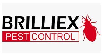 Brilliex Pest Control - Toronto, ON M2M 3W2 - (289)805-8280 | ShowMeLocal.com