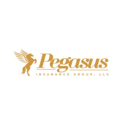 Pegasus Insurance Group, Llc - Sachse, TX 75048 - (469)955-6001 | ShowMeLocal.com