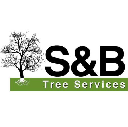 S&B Tree Services Northern Beaches - Brookvale, NSW 2100 - (13) 0015 9793 | ShowMeLocal.com