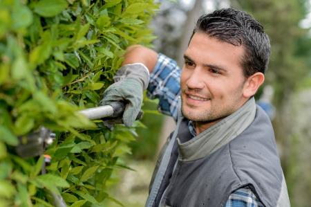 Rotherham Hedge Trimming - Rotherham, South Yorkshire S60 1BY - 01709 476442 | ShowMeLocal.com