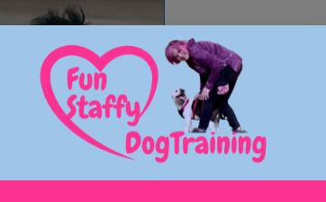 Fun Staffy Dog Training Bournemouth 07375 708760