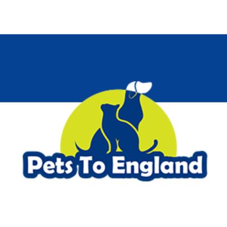 Pets To England - Atlanta, GA 30033 - (877)379-8625 | ShowMeLocal.com