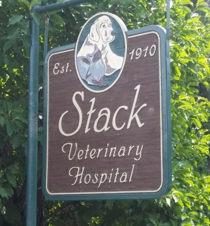 Stack Veterinary Hospital - Syracuse, NY 13215 - (315)478-3161 | ShowMeLocal.com