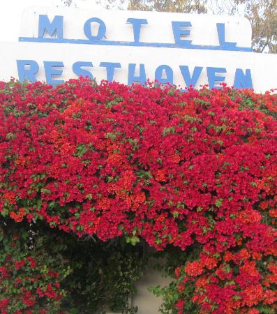 Rest Haven Motel - Santa Monica, CA 90405 - (310)452-3977 | ShowMeLocal.com