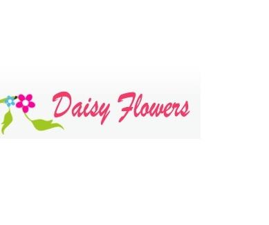 Daisy Flowers - Inglewood, CA 90301 - (310)673-6437 | ShowMeLocal.com