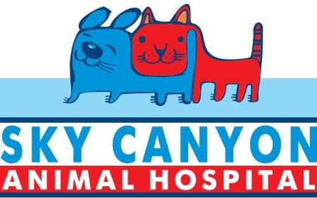 Sky Canyon Animal Hospital - Murrieta, CA 92563 - (951)461-4100 | ShowMeLocal.com