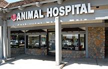 Adobe Animal Hospital - Alta Loma, CA 91737 - (909)483-3535 | ShowMeLocal.com