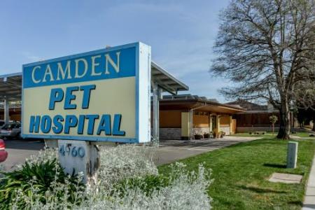Camden Pet Hospital - San Jose, CA 95124 - (408)265-2200 | ShowMeLocal.com
