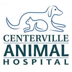 Centerville Animal Hospital - Chesapeake, VA 23322 - (757)482-9410 | ShowMeLocal.com