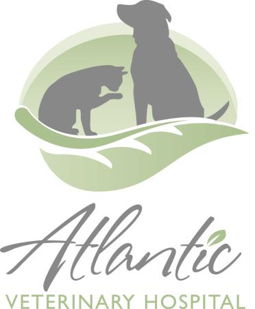 Atlantic Veterinary Hospital - Seattle, WA 98144 - (206)323-4433 | ShowMeLocal.com