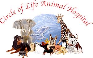 Circle Of Life Animal Hospital - Tampa, FL 33613 - (813)908-5433 | ShowMeLocal.com