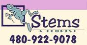 Stems A Florist - Scottsdale, AZ 85255 - (480)922-9078 | ShowMeLocal.com