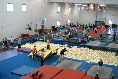 Trampoline World Gymnastics - Colorado Springs, CO 80907 - (719)531-5867 | ShowMeLocal.com