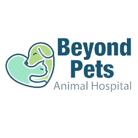Beyond Pets Animal Hospital - Marietta, GA 30062 - (770)971-1556 | ShowMeLocal.com
