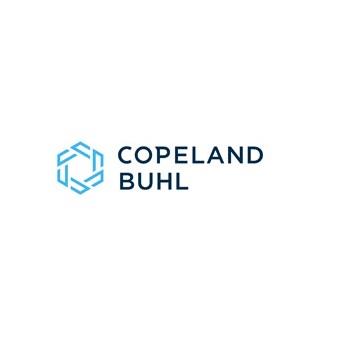 Copeland Buhl & Company, PLLP - Wayzata, MN 55391 - (952)476-7100 | ShowMeLocal.com