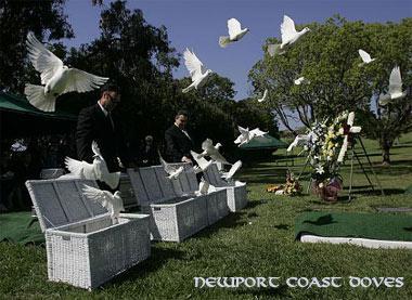 Funeral Doves  714-903-6599 Los Angeles Ca - Los Angeles, CA 90033 - (714)903-6599 | ShowMeLocal.com