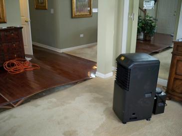 Wet Carpet Cleaning Flood Control Owings Mills (410)394-9069