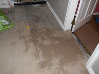 Wet Carpet Cleaning Flood Control Baton Rouge (225)238-1734