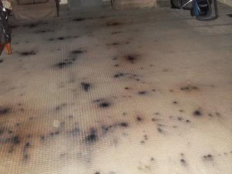 Black Mold Inspection Flood Control New Milford (860)254-4765