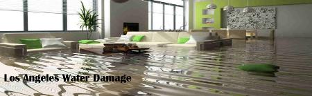 Los Angeles Water Damage Experts - Los Angeles, CA 90064 - (213)261-0868 | ShowMeLocal.com