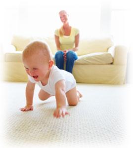 Westminster Carpet Cleaning - Westminster, CO 80003 - (720)523-3556 | ShowMeLocal.com