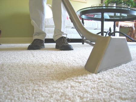 Chicago Steam Cleaners Carpet Cleaning - Sears - Melrose Park, IL 60160 - (800)346-4959 | ShowMeLocal.com