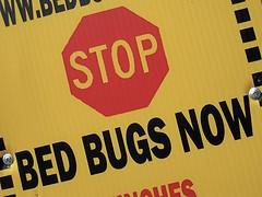 Pest Away Exterminating New York (212)721-2521