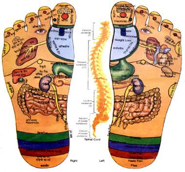 Reflexology improves nerve and blood supply, and helps nature to normalize.<br>Reflexology is a science that deals with the principle that there are reflex areas in the feet and hands which correspond to all of the glands, organs, and parts of the body. Stimulating these reflexes properly can help many health problems in a natural way, a type of preventative maintenance. Reflexology is a serious advance in the health field and should not be confused with massage. Alist Wellness Center LLC Union (973)912-4448