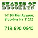Shades Of Brooklyn - Eye Care Practice - Brooklyn, NY 11212 - (718)690-9640 | ShowMeLocal.com