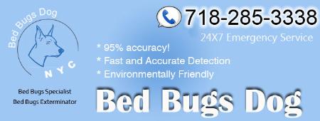Bed Bugs Ny City - New York, NY 10038 - (212)419-1249 | ShowMeLocal.com
