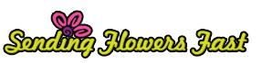 Sending Flowers Fast - New York, NY 10027 - (877)462-7472 | ShowMeLocal.com