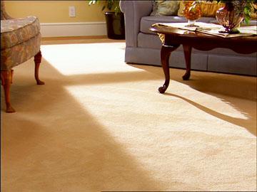Golden Hill Pro Carpet Cleaners - San Diego, CA 92102 - (619)821-2612 | ShowMeLocal.com