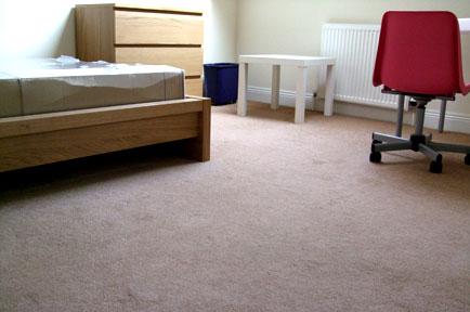 Around-The- Corner Carpet Cleaning Service - New York, NY 10016 - (347)674-2045 | ShowMeLocal.com