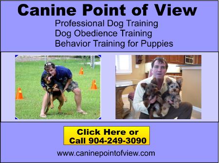 Canine Point Of View - Jacksonville, FL 32224 - (904)249-3090 | ShowMeLocal.com