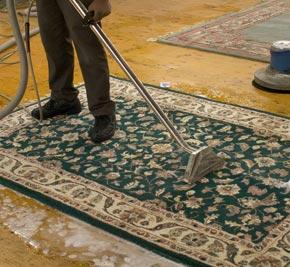 Leading Carpet Cleaners - Yonkers, NY 10705 - (914)246-0562 | ShowMeLocal.com