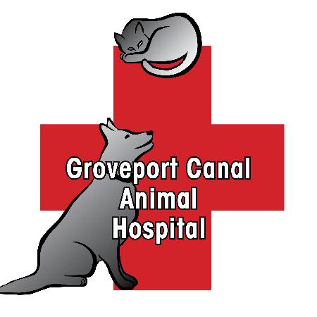 Groveport Canal Animal Hospital - Groveport, OH 43125 - (614)836-3222 | ShowMeLocal.com