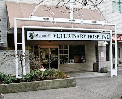 Murrayhill Veterinarian Hospital - Beaverton, OR 97007 - (503)579-3300 | ShowMeLocal.com