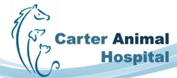 Carter Animal Hospital - Cathedral City, CA 92234 - (760)324-8811 | ShowMeLocal.com