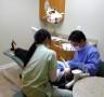 Pickett Center Dental Care - Nathan Chong - Fairfax, VA 22031 - (703)323-5296 | ShowMeLocal.com