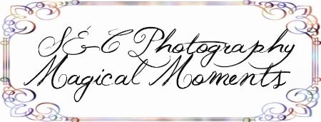 S&C Photography Magical Moments - Fort Smith, AR 72903 - (479)522-0995 | ShowMeLocal.com